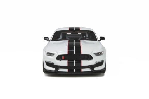 Ford Mustang Shelby GT350R