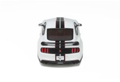 Ford Mustang Shelby GT350R