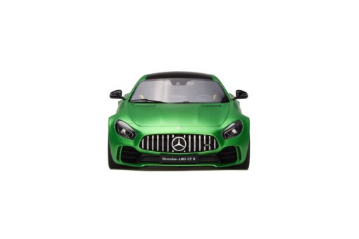 Mercedes-AMG GT R