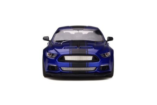 GT238 - Ford Shelby GT-350 "Widebody"