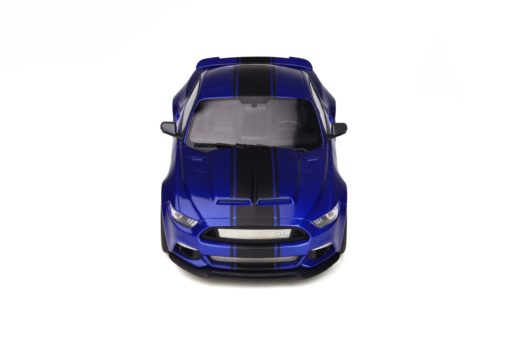 GT238 - Ford Shelby GT-350 "Widebody"