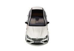Mercedes-AMG E63 S T-Modell 2019 - Model car collection - GT