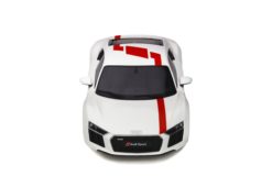 GT247 - Audi R8 V10 RWS