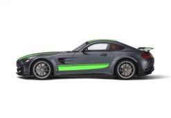 GT265 - Mercedes-AMG GT-R Pro 2019