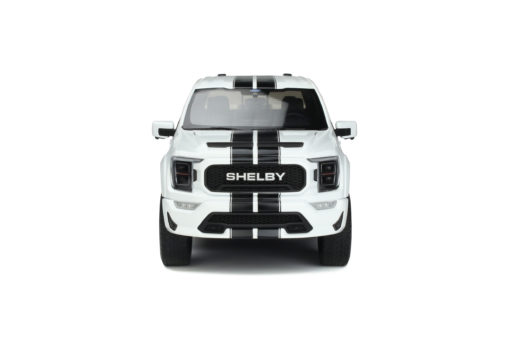 Shelby F150